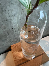 Load image into Gallery viewer, Glass Vases