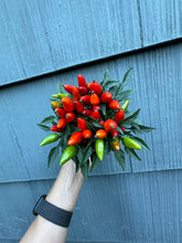 Load image into Gallery viewer, Pepper Plant - Little Elf Dwarf - 4”