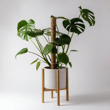 Load image into Gallery viewer, Mid Century Bamboo Plant Stand - Blonde