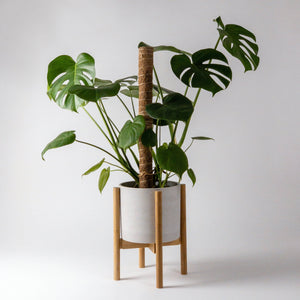 Mid Century Bamboo Plant Stand - Blonde