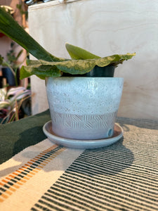 Rain + Ritual Pottery