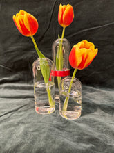 Load image into Gallery viewer, Glass Vases