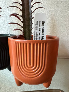 Arches pot with feet - 4.25”