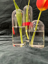 Load image into Gallery viewer, Glass Vases