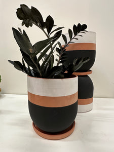 Niko Far West - Izima Terracotta Planter - 8"