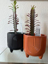 Load image into Gallery viewer, Arches pot with feet - 4.25”