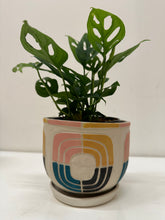 Load image into Gallery viewer, Niko Far West - Tesseris Planter - 5&quot;