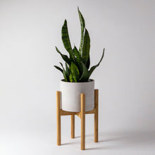 Load image into Gallery viewer, Mid Century Bamboo Plant Stand - Blonde