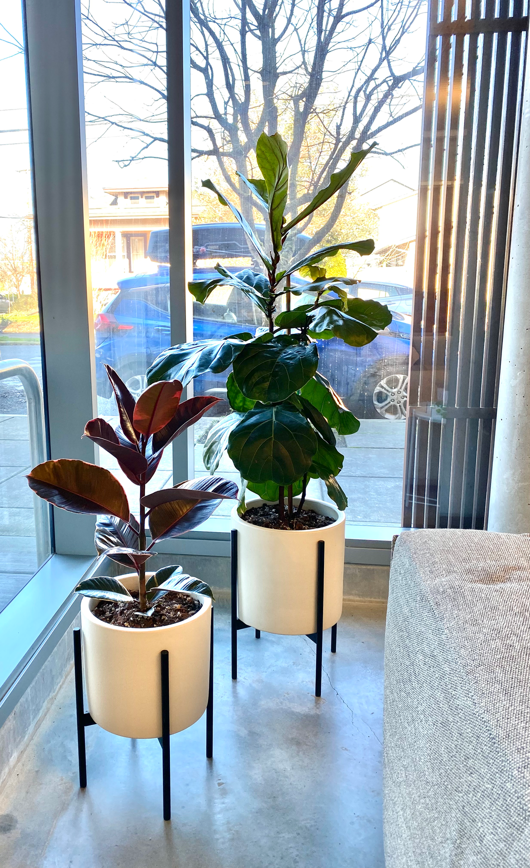 Greening Services