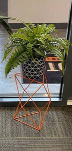 9 Points 15" Plant Stand