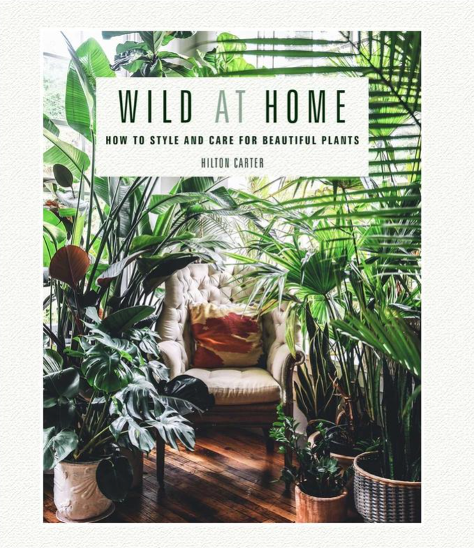 Wild at Home: How to Style and Care for Beautiful Plants by Hilton Carter