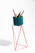 Load image into Gallery viewer, Tri Quad 22&quot; Plant Stand