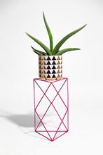 Load image into Gallery viewer, 9 Points 15&quot; Plant Stand