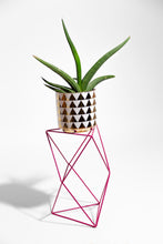 Load image into Gallery viewer, 9 Points 15&quot; Plant Stand