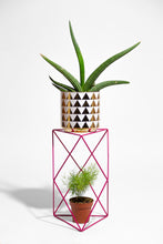 Load image into Gallery viewer, 9 Points 15&quot; Plant Stand