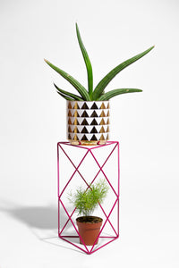9 Points 15" Plant Stand
