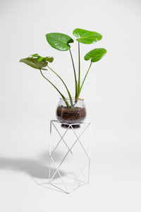 9 Points 15" Plant Stand