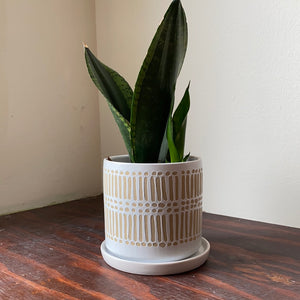 Linden Pot