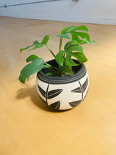Load image into Gallery viewer, Niko Far West - Leaf Carved Planter - 6&quot;