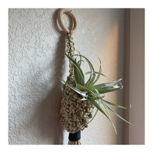 Load image into Gallery viewer, Petey Podlo - Airplant Pod