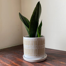 Load image into Gallery viewer, Linden Pot