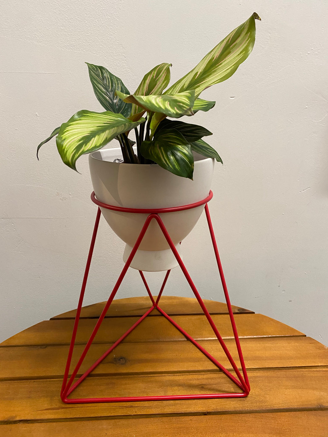 Valentine's Day Arrangement