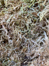 Load image into Gallery viewer, Sphagnum Moss