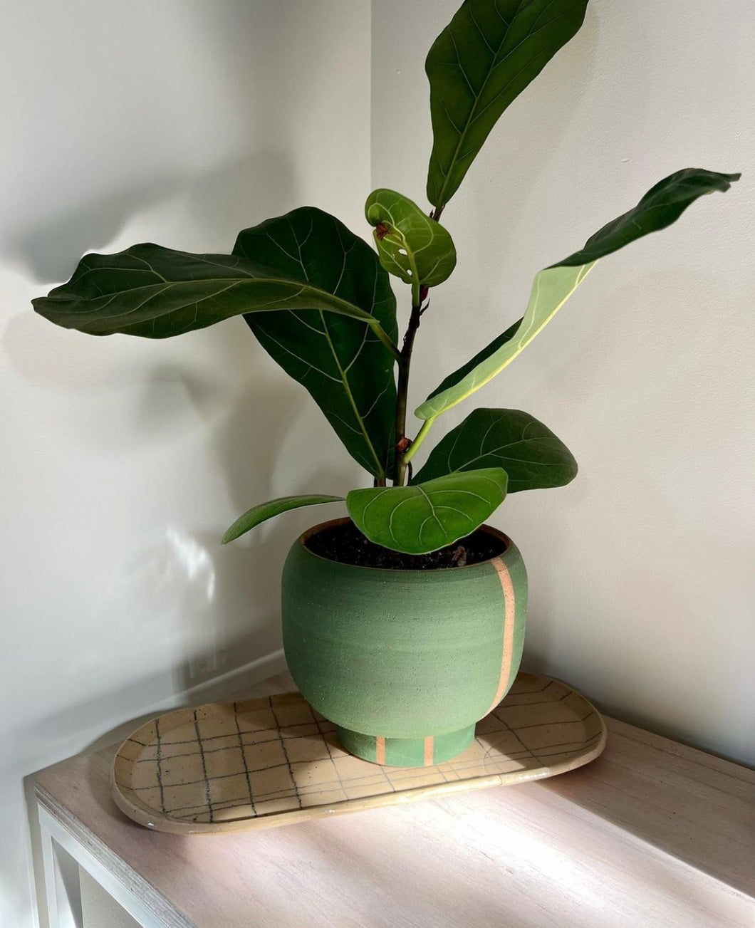 Smooth Planter by BYUN