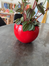 Load image into Gallery viewer, Luna Sphere Planters