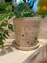Load image into Gallery viewer, Splat Ceramic Planters by Unearth