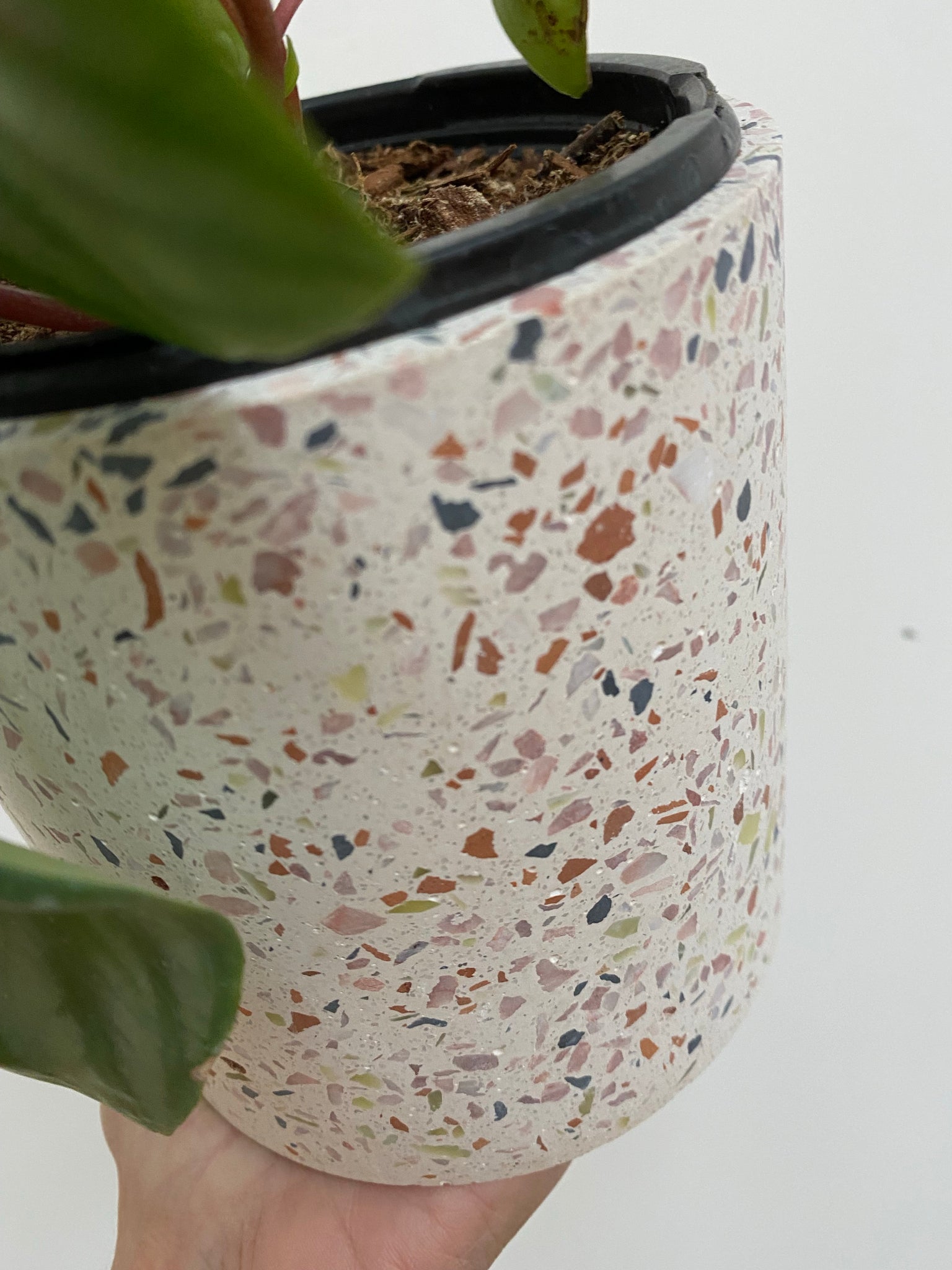 terrazzo pot plant Terrazzo Pots