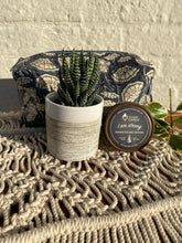 Load image into Gallery viewer, Haworthia