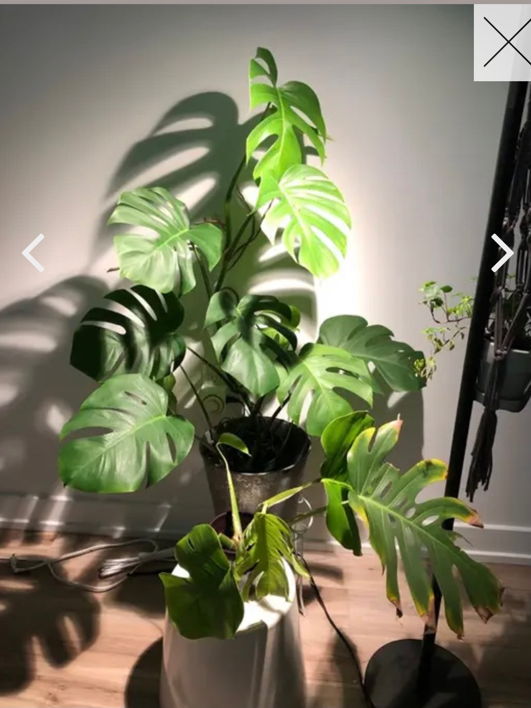 vita plant grow light VITA Grow Light by Soltech Solutions