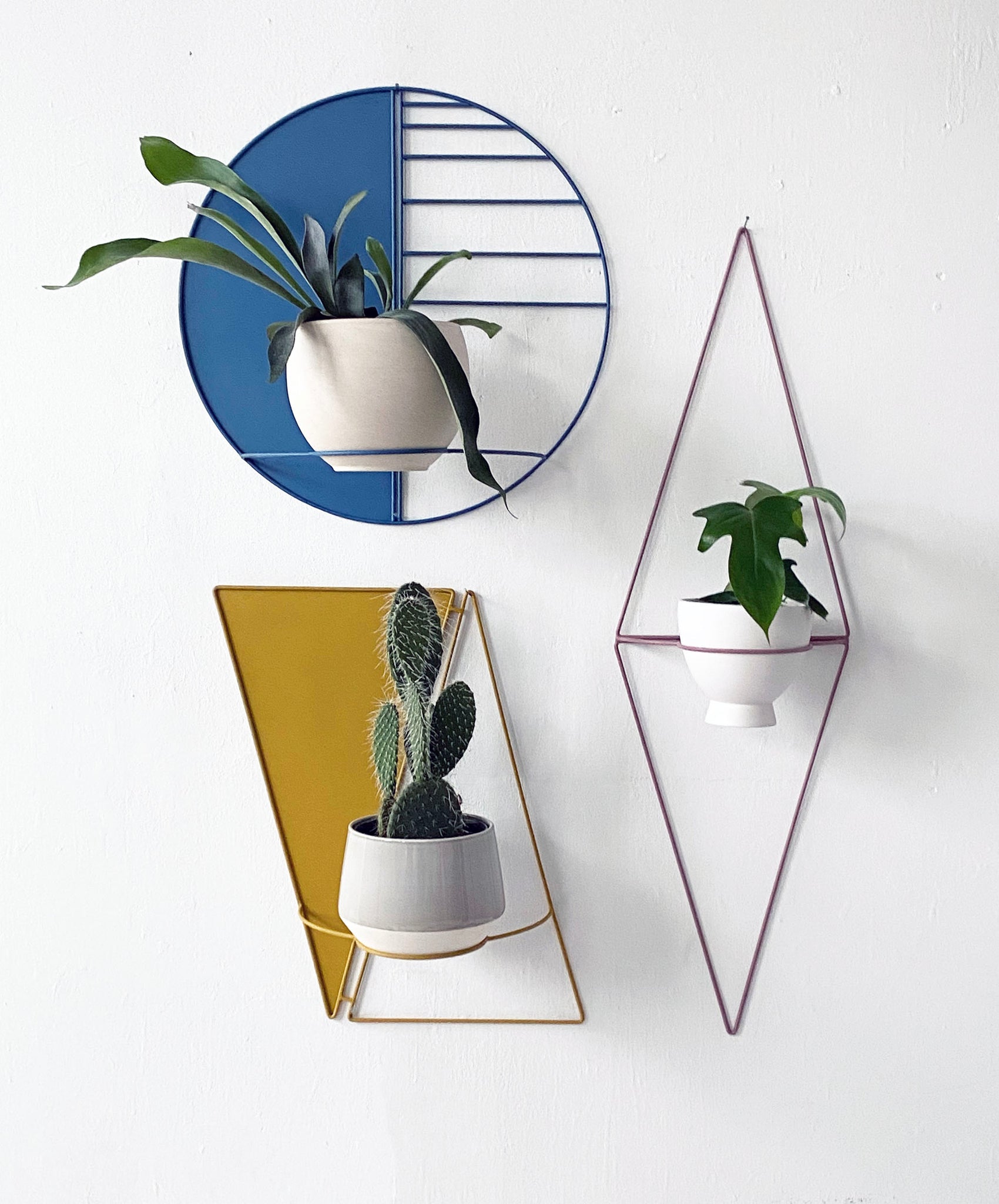 circle wall hanging planter Sunset Circle Wall Planter – WILDEHAUS