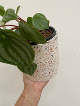 Load image into Gallery viewer, Terrazzo Pots