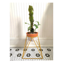 Load image into Gallery viewer, La Corona 10&quot; Plant Stand