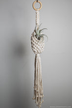 Load image into Gallery viewer, Petey Podlo - Airplant Pod